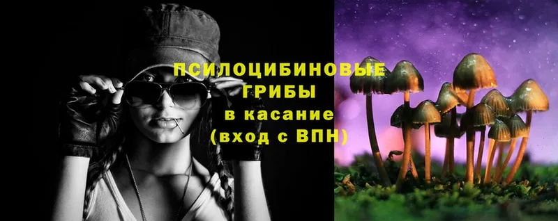 ссылка на мегу маркетплейс  Алексин  Псилоцибиновые грибы Cubensis 